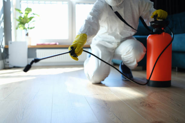 Trusted Hoarding Cleanup service in Grand Island, FL - Four Month Blood Cleanse
